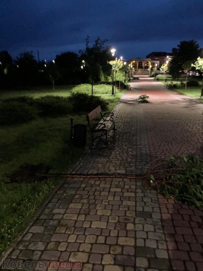 У парку в Ковелі вандали повиривали з корінням саджанці дерев