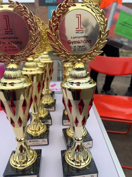 Під Луцьком влаштували екстремальні автогонки. ФОТО 