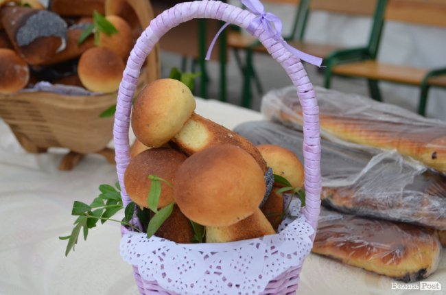 Від мініатюрних тістечок до величезних гойдалок: у центрі Луцька – свято професійної освіти. ФОТО