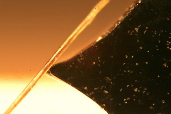 Фотовиставка Олександра Котиса