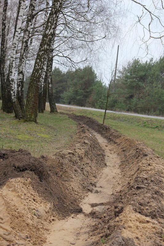 Волинські ліси від вогню захищає 10 тисяч кілометрів спецсмуг