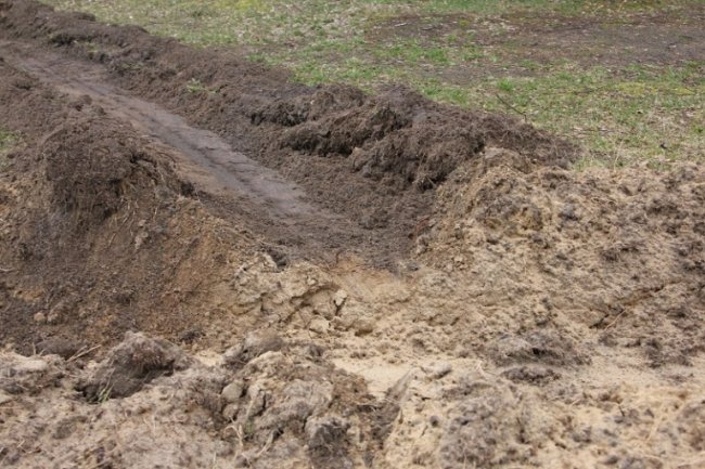 Волинські ліси від вогню захищає 10 тисяч кілометрів спецсмуг