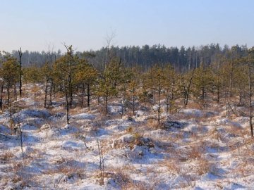 Унікальне болото на Волині визнали у світі