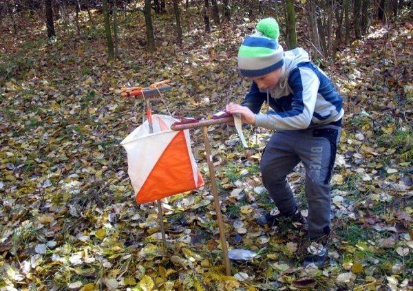 Понад 600 волинських школярів позмагалися у спортивному орієнтуванні. ФОТО