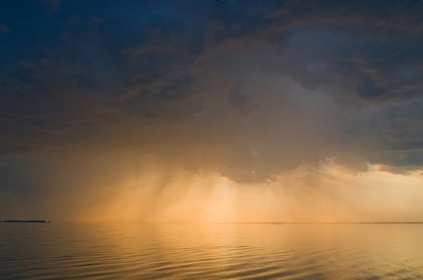 Фотовиставка Олександра Шишкіна