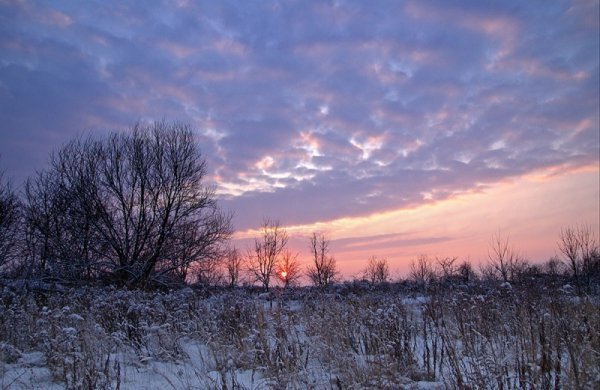 Фотовиставка Олександра Шишкіна
