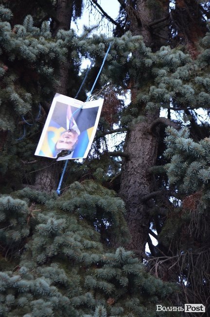 На головні ялинки Луцька повісили «Януковича в петлі». ФОТО