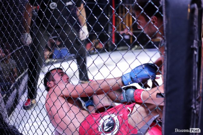 Турнір зі змішаних єдиноборств у Луцькому замку: як це було