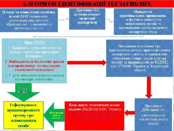 В МВС розповіли, як впізнаватимуть тіла загиблих в зоні АТО 