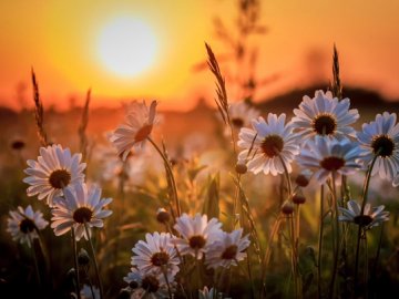 Погода на завтра, 22 липня, у Луцьку та Волинській області