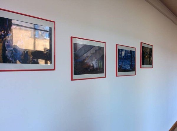 У Волинській ОДА - фото революції