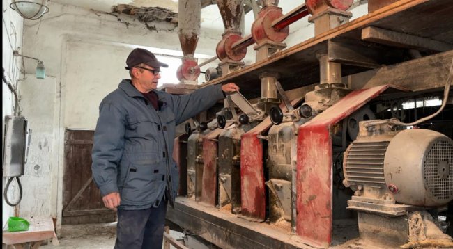 «Хліб усьому голова»: як працює млин на Волині. ВІДЕО