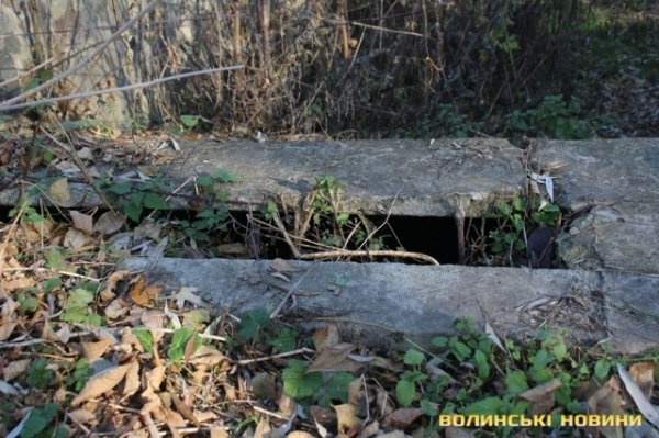 Чи безпечні атракціони у Центральному парку в Луцьку? ФОТО*