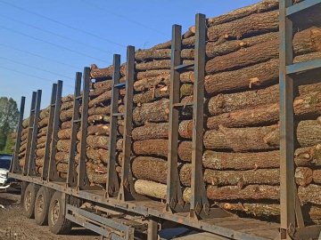 На Волині затримали вантажівку із незаконною деревиною