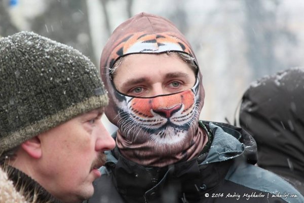 Як у Луцьку «тролять» скандальні закони. ФОТО