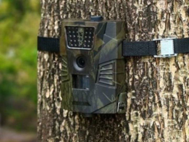 У луцьких парках встановили фотопастки на наркозакладчиків