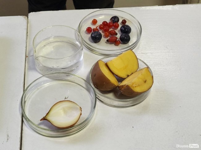 Лего-сумо та світ під мікроскопом: для діток переселенців та військових провели майстер-класи