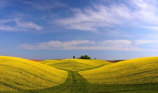 Волинський депутат показав красу нашого краю. ФОТО