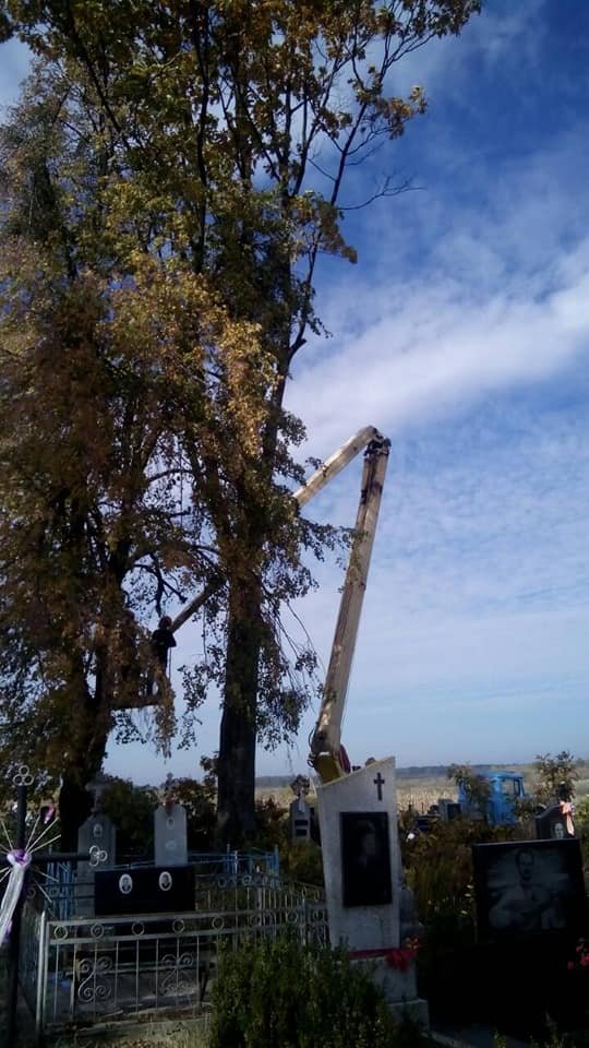 Сільське кладовище на Волині розчистили від аварійних дерев. ФОТО