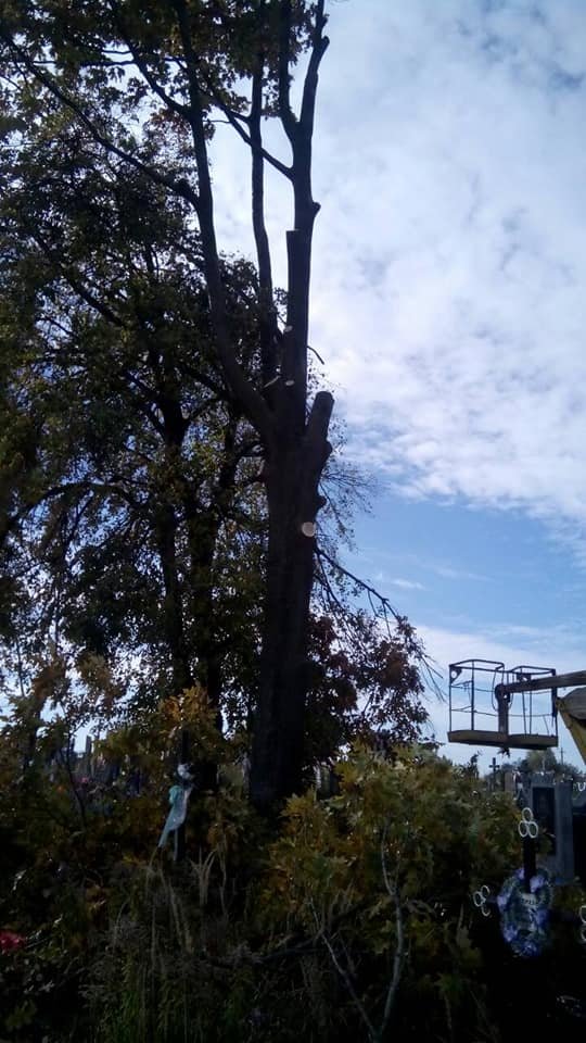 Сільське кладовище на Волині розчистили від аварійних дерев. ФОТО