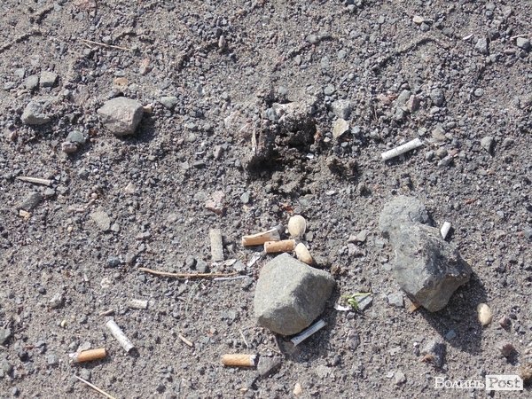 Вулиці Луцька прибирають «дідівськими» методами. ФОТО. ВІДЕО