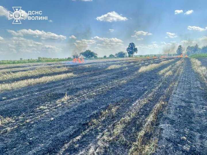 Ледь не згоріло зернове поле: за спалювання стерні оштрафували волинянина
