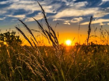 10 серпня – яке сьогодні свято та що не можна робити в цей день