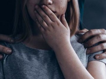 У Донецькій області п'яний чоловік у свій день народження зґвалтував 13-річну гостю