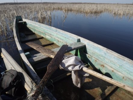 Ловили рибу, а зловили їх: на Волині «на гарячому» взяли браконьєрів