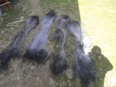 Ловили рибу, а зловили їх: на Волині «на гарячому» взяли браконьєрів