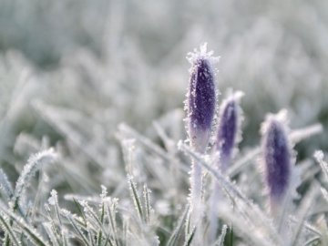 Погода в Луцьку та Волинській області на п’ятницю, 18 вересня