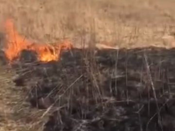 Екоінспектори оштрафували декілька волинян, які спалювали суху траву на полях