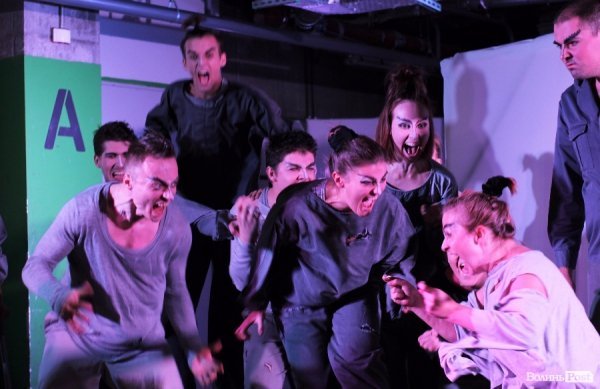 «Мандрівний вішак» у Луцьку епатував, дивував та змушував задуматись. ФОТО