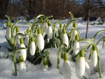 Погода у Луцьку на завтра, 28 березня