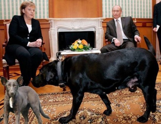 Собака і Путін: фотожаби