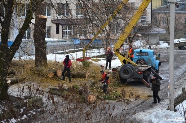 У луцькому «парку Горького» зрізують найстаріші дерева. ФОТО