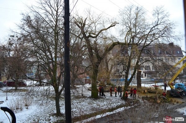 У луцькому «парку Горького» зрізують найстаріші дерева. ФОТО