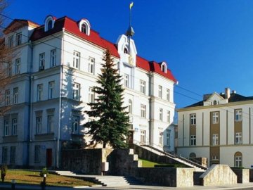 «Ви працюєте незадовільно»: у Луцьку «насварили» посадовця