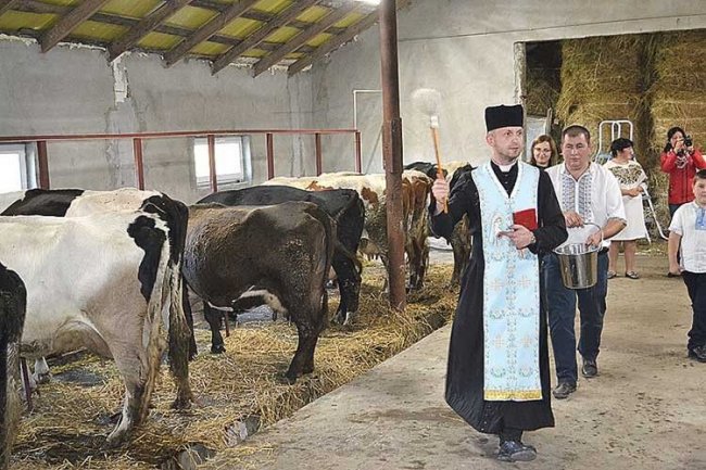 Атовець з дружиною відкрили на Волині молочну ферму