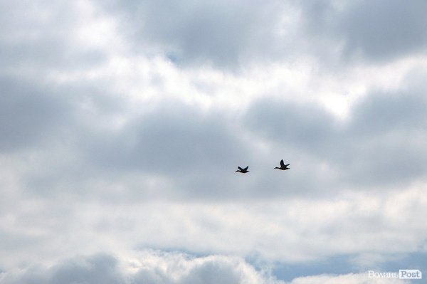 Весна у Луцьку. ФОТО