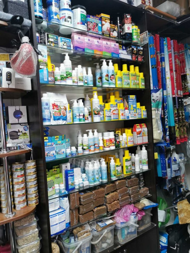 Усе необхідне для тварин – online і з безкоштовною доставкою під двері: як луцький «Зоомаркет» працює в карантин*