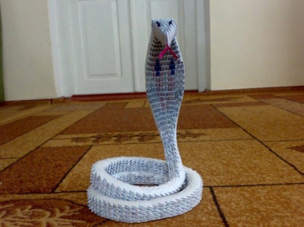 Волинський студент створює шедеври із дерева і паперу