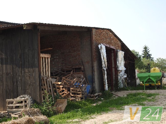 Волинське село засмерділося гнилою капустою. ФОТО