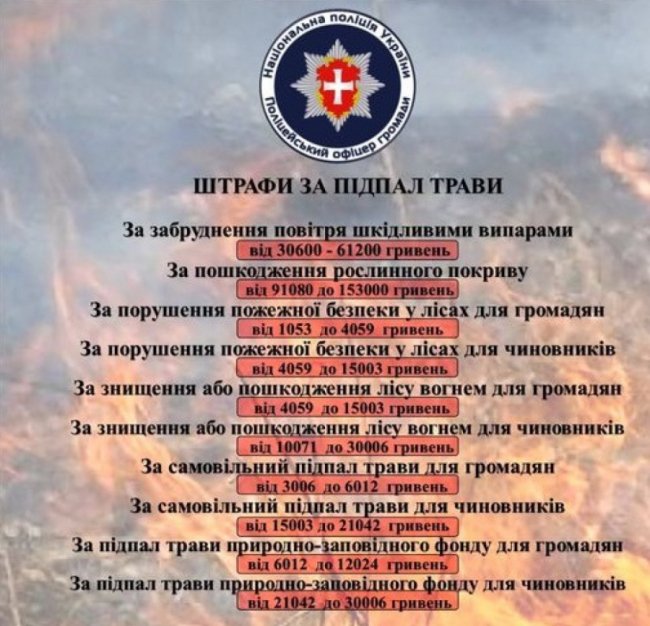 На Волині спіймали  «на гарячому» палія сухої трави