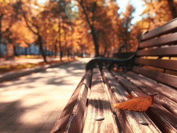 Погода у Луцьку на неділю, 30 вересня