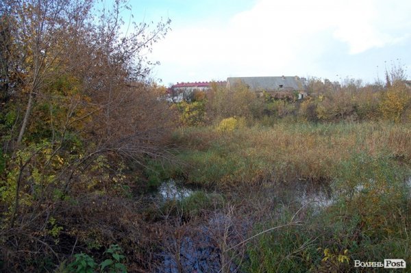 Як у Луцьку зачистили стихійне сміттєзвалище, уникнувши криміналу. ФОТО