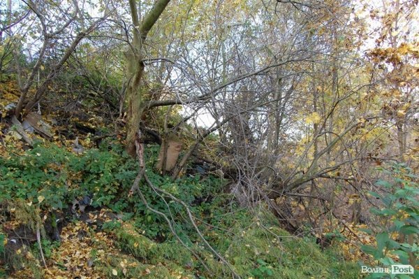 Як у Луцьку зачистили стихійне сміттєзвалище, уникнувши криміналу. ФОТО