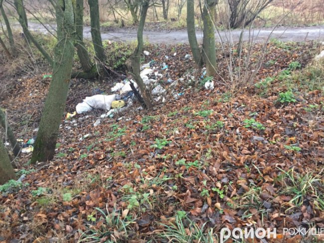 На Волині люди закидали сміттям дорогу