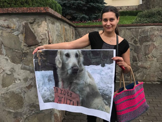 «Тварини - живі істоти»: луцьку мерію пікетували зоозахисники. ФОТО