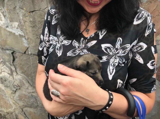 «Тварини - живі істоти»: луцьку мерію пікетували зоозахисники. ФОТО